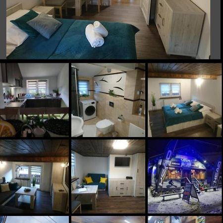 Apartament Elbrus Czyrna Szczyrk Wypozyczalnia Rowerow E-Bike Czyrna Szkola Narciarska & Wypozyczalnia Ski Serwis Eksteriør billede