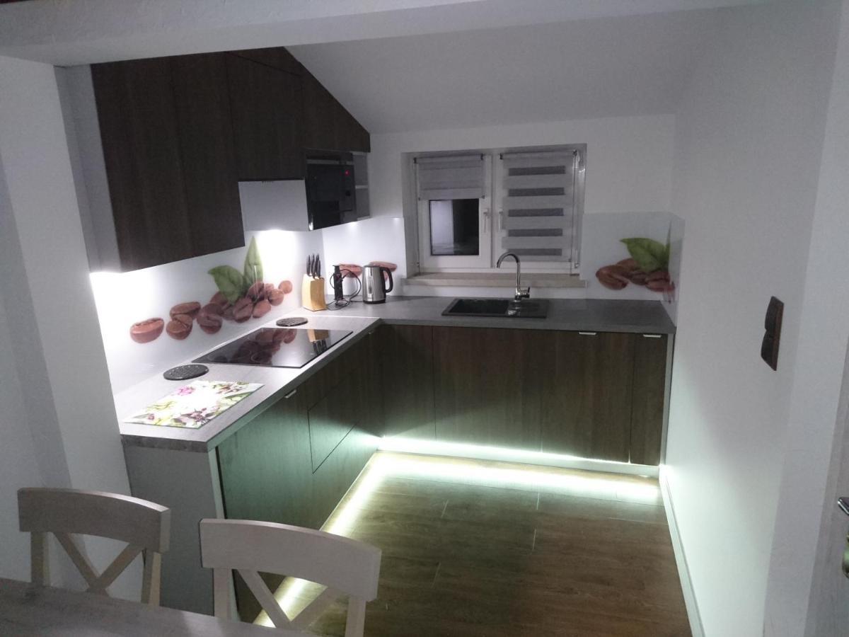 Apartament Elbrus Czyrna Szczyrk Wypozyczalnia Rowerow E-Bike Czyrna Szkola Narciarska & Wypozyczalnia Ski Serwis Eksteriør billede