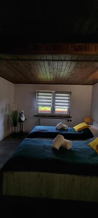 Apartament Elbrus Czyrna Szczyrk Wypozyczalnia Rowerow E-Bike Czyrna Szkola Narciarska & Wypozyczalnia Ski Serwis Eksteriør billede